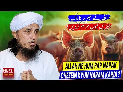 ALLAHNeHumParNapakChezeinQHaramKardi